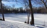 Pond Winter.jpg