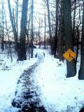 Winter Trail.jpg